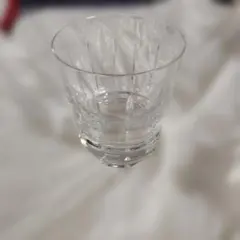 신품・ 미사용 品 Baccarat バカラ アルルカン タンブラー