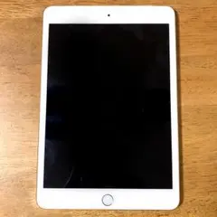 【iPad mini】ジャンク