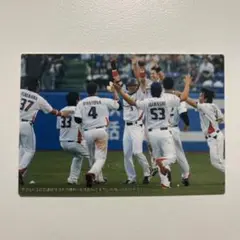 プロ野球チップス2009 ヤクルト
