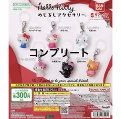 新品未開封 ハローキティ めじるしアクセサリー コンプ コンプリート 6点セット