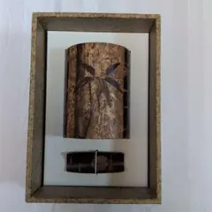 Item thumbnail for item effa2f98-7e42-4039-b501-b00e3f23dc10