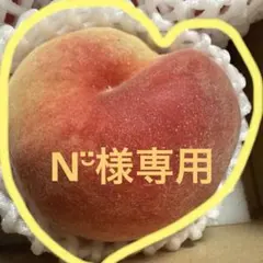 N‪¨̮様専用サイトです