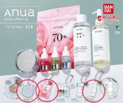 Anua ガチャ ミニチュアチャーム 3点セット