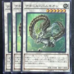 ナチュル・パルキオン