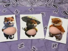 3枚 セット　柴犬 お腹ぷにぷにシール 3Dシール ステッカーシール帳