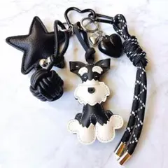 じゃらじゃらキーホルダー　バッグチャーム　キーチャーム　パラコード　星　28D