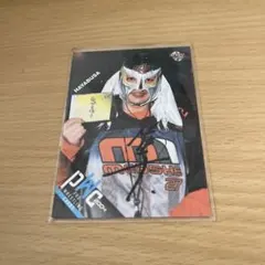 2025年最新】ハヤブサ プロレス サインの人気アイテム - メルカリ