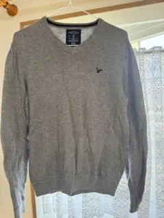 今でも人気　アメリカンイーグル　Vネックセーター サイズM 中古　若干汚れ有り