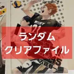 ハイキュー!! JC柄クリアファイルコレクション 第5弾 47枚 - メルカリ