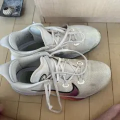 Nike air zoom bb nxt購入お願いします！！のサムネイル
