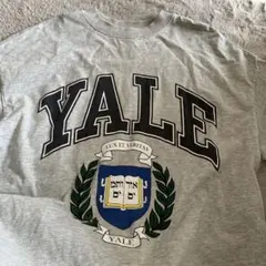 H &M レディースTシャツ