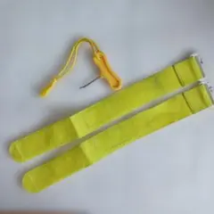 スピードスケート　スケーターズアイ他