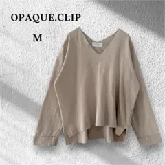 オペークドットクリップ Vネックニット 長袖トップス シンプル ベージュ M