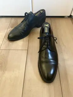 【美品】SCOTCHGRAIN スコッチグレイン パンチドキャップトゥ 25