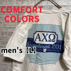 【F425】Comfort Colors半袖プリントTシャツ【L】