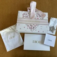 CHRISTIAN DIOR限定ショッパー＆巾着ポーチ＆スマホホルダー＆カード