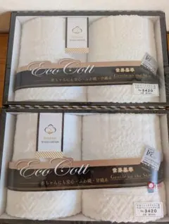 TZ Eco Cott 今治フェイス・ウォッシュタオルセット2個セット【箱無】