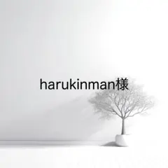 harukinman様 リクエスト 3点 まとめ商品