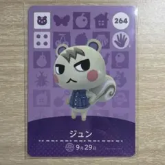 2026年最新】あつ森 amiibo ジュンの人気アイテム - メルカリ
