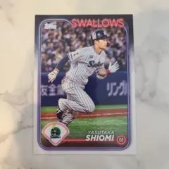4枚セット東京ヤクルトスワローズ 選手カード
