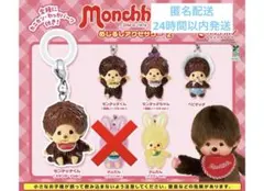 モンチッチ めじるしアクセサリー2 セミコンプ