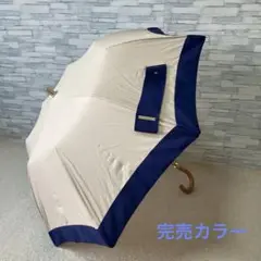 本日迄の出品　最終価格❣️ 日傘　アシーナニューヨーク 1290000000499_0701.jpg