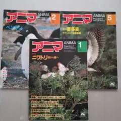 アニマANIMA野性からの声創刊号号から49号までの49冊揃い平凡社 自然情報誌 2025年最新】アニマ 平凡社の人気アイテム - メルカリ