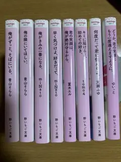 野いちご文庫シリーズ　8冊セット