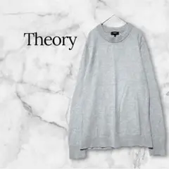 Theory セオリー メンズ コットンニット Lグレー 長袖 クルーネック 春