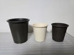 TOKY Innocence Rim Pot S 2個 M 1個セット 植木鉢 - メルカリ
