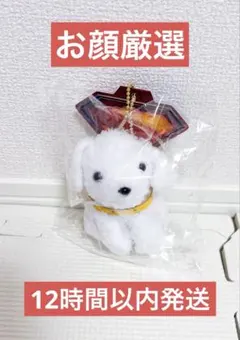 新品未開封 映画 スーパーマン ぬいぐるみボールチェーン クリプト