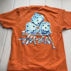 Stussy Tシャツ オレンジ Mサイズ