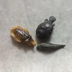 海洋生物フィギュア 3体セット