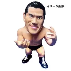 鈴木みのる プロレスフィギュア HAO - メルカリ