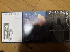 名作文学3冊セット