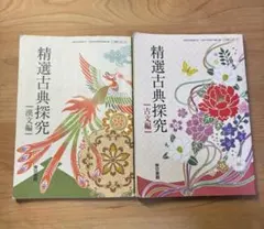 精選古典探究 漢文編・古文編 2冊セット