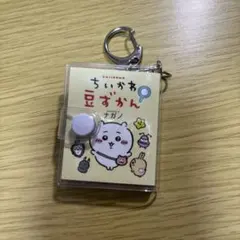 【お値下げしました！】ちいかわ　ちいかわ豆図鑑　キーホルダー
