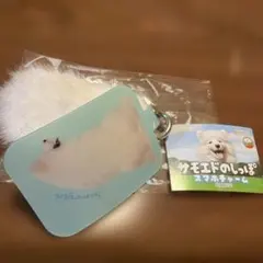 ガチャ サモエドのしっぽ スマホチャーム ミント