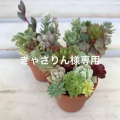 きゃさりん様 リクエスト 3点 まとめ商品