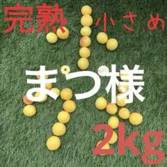 252 まつ様　完熟小梅小さめ　2kgのサムネイル