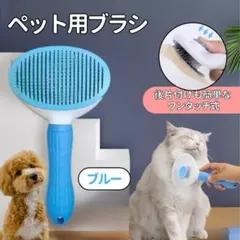 Item thumbnail for item acc2116c-4d17-4a47-b4ca-dcd376cdb487