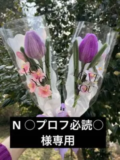 2026年最新】プロフ必読の人気アイテム - メルカリ