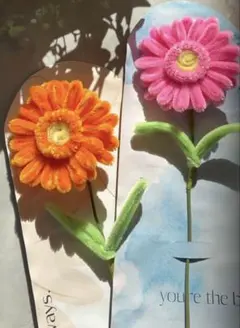 Item thumbnail for item 0c551b5f-e594-407e-bb23-def9b9af8d17