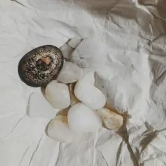 シーグラス 貝殻　小石