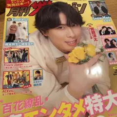 月刊ザテレビジョン　菊池風磨　切り抜き　抜け無し