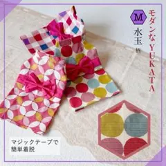 ハンドメイド犬服◉水玉柄 浴衣◉Mサイズのサムネイル