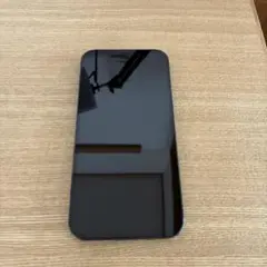 iPhone 12 Pro Max 256GB(本体のみ)
