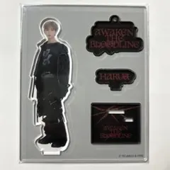 HARUA ハルア　&TEAM アクスタ　AWAKEN popup