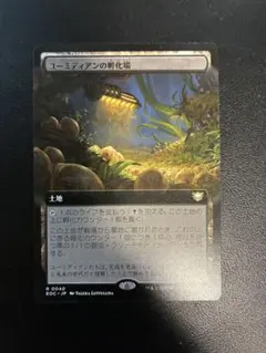 MTG ユーミディアンの孵化場 日本語 拡張アート