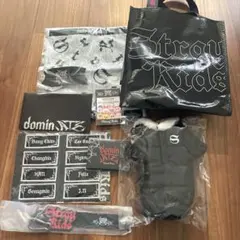 【抜けなし】Stray Kids アップグレードチケットオリジナルグッズ 東京